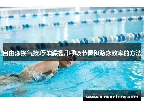 自由泳换气技巧详解提升呼吸节奏和游泳效率的方法