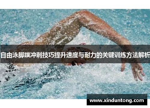 自由泳脚蹼冲刺技巧提升速度与耐力的关键训练方法解析