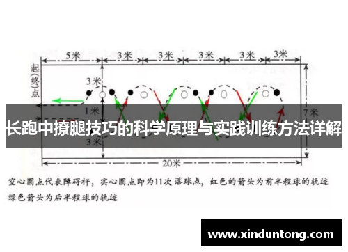 长跑中撩腿技巧的科学原理与实践训练方法详解